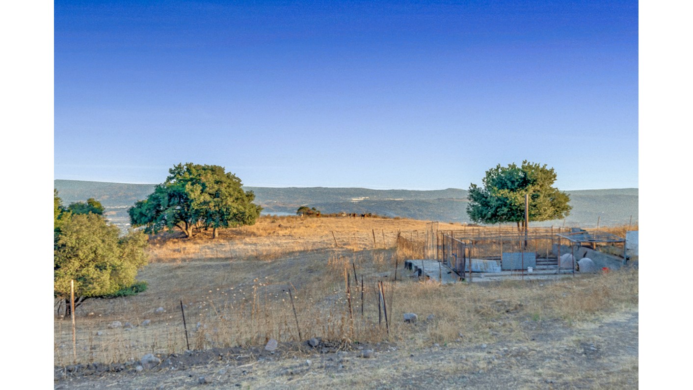 0 Sycamore Flats Motorway, San Dimas, CA 91773