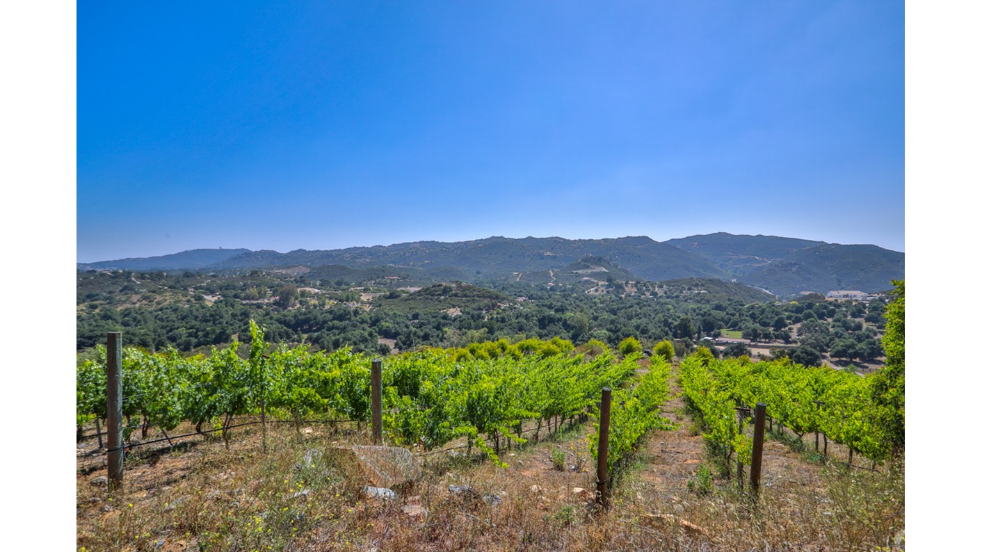 40355 Vía Herradura, Murrieta, CA 92562